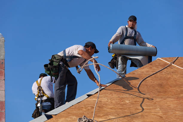 Best Emergency Roof Repair  in Nellis Af, NV